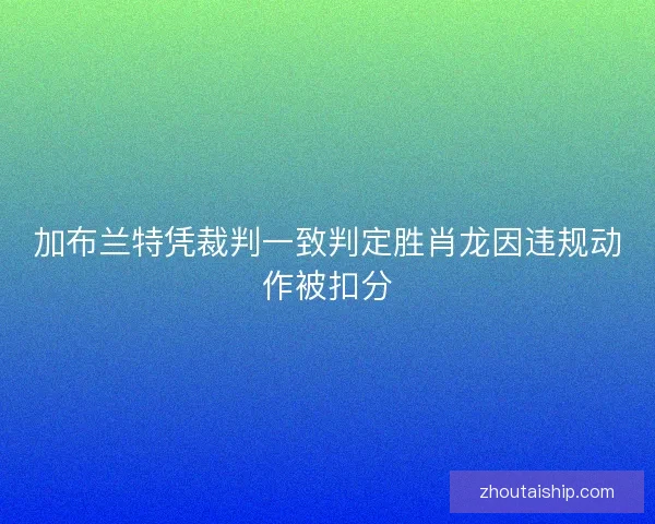加布兰特凭裁判一致判定胜肖龙因违规动作被扣分