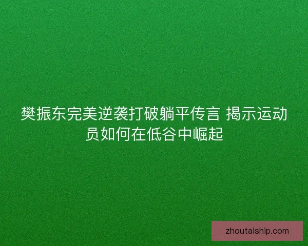 樊振东完美逆袭打破躺平传言 揭示运动员如何在低谷中崛起