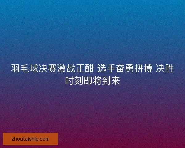 羽毛球决赛激战正酣 选手奋勇拼搏 决胜时刻即将到来