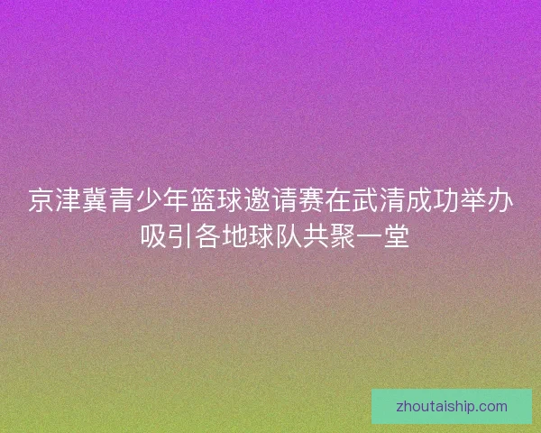 京津冀青少年篮球邀请赛在武清成功举办 吸引各地球队共聚一堂